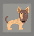 flat shading style icon pet dog vector image vector image