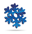 snow flake vector image