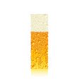 alphabet beer i vector image