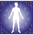 zodiac vector image