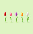 tulip flowers on stem with leaves 3d vector image vector image