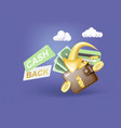cash back icon with coins and wallet vector image