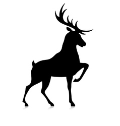 Silhouette buck Royalty Free Vector Image - VectorStock
