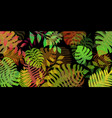 tropical palm leaves background vector image