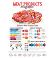 infographics on butchery meat products vector image
