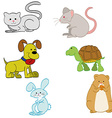 a set different kinds pet on white background vector image