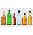 alcohol drinks in bottles isolated high spirits vector image vector image
