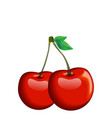 fruit icon cherry white background image vector image