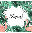 tropical design frame template leaves flamingos vector image