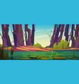 green swamp lake with waterlily shining surface vector image