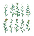 set of floral hand drawn line with digital color vector image vector image