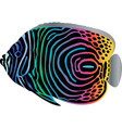 tropical fish vector image vector image