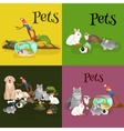 home pets set cat dog parrot goldfish hamster vector image vector image