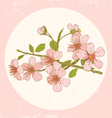 sakura pink vector image