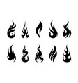flames vector image