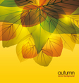 leaves vector image