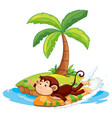surfing monkey cartoon character on isolated vector image