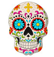 day dead skulls vector image