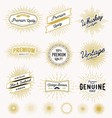 set of vintage sunburst frame and label design vector image