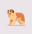 short-haired saint bernard dog icon furry human vector image vector image