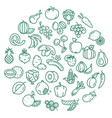 fruit doodle in round shape food decorative vector image vector image