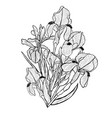 hand drawn floral decoration vector image