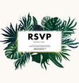 set jungle safari leaves isolated on white vector image