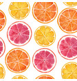 watercolor citrus pattern vector image vector image