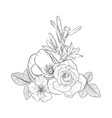 drawing flowers vector image
