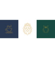 line elegant decoration design elements set vector image