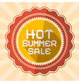 hot summer sale retro vector image