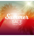 summer sale background vector image