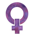 symbol feminism women and struggle vector image