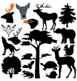 wildlife at forest vector image