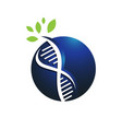 helix dna tree logo design icon simple sign vector image