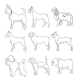 set of purebred dogs in linear style vector image