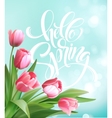 hello spring hand lettering with tulip flower vector image vector image