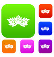 hops set collection vector image vector image
