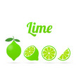 lime with green leaves slice citrus isolated vector image
