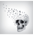 triangle human skull vector image vector image