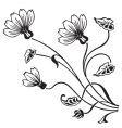 antique floral ornament engraving vector image