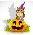 wise magician owl sit on a pumpkin - halloween vector image