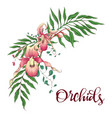 floral design frame orchid eucalyptus greenery vector image