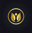 leaf beauty gold logo vector image