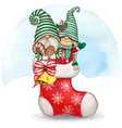 watercolor cute gnomes in christmas stocking vector image
