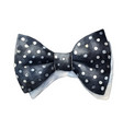 black bow tie with polka dots watercolor vector image vector image