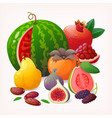 collection of multiple fruit isolated vector image vector image