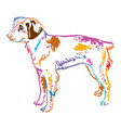 colorful decorative portrait of brittany dog vector image