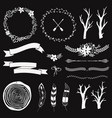 monochrome decoration set with arrows feathers vector image vector image