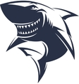 sharks logo vector image vector image